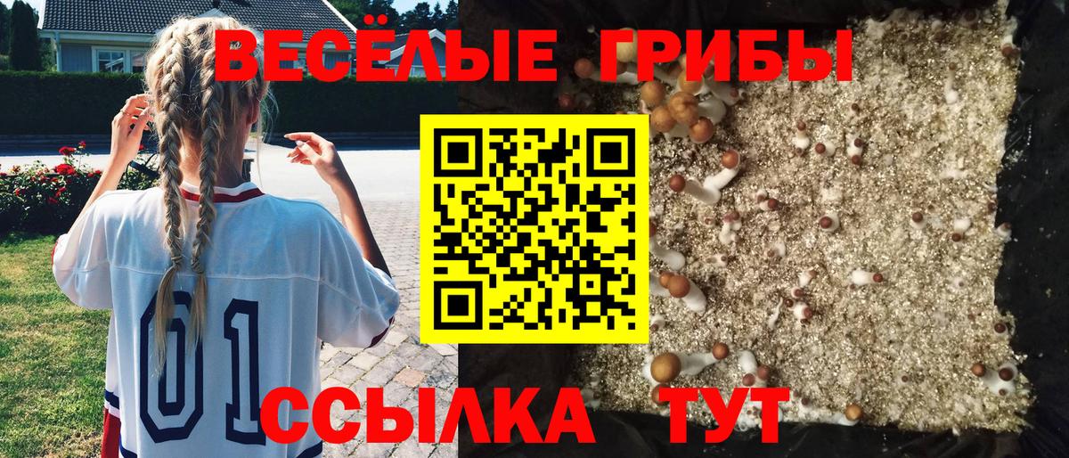 Галлюциногенные грибы мицелий Анапа