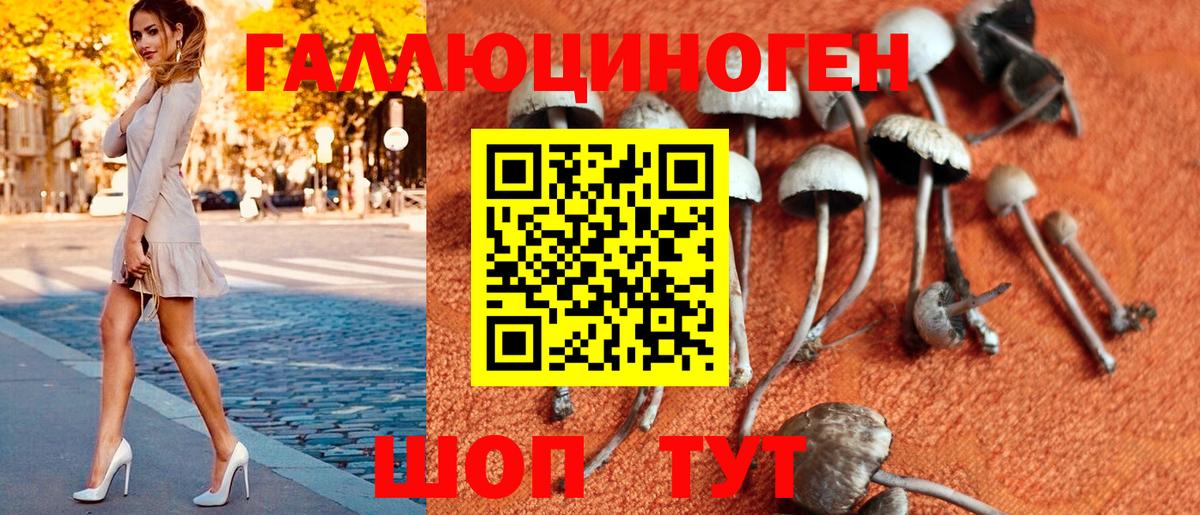 Псилоцибиновые грибы Psilocybe  Псилоцибиновые грибы мухоморы  Вход с VPN  Анапа 